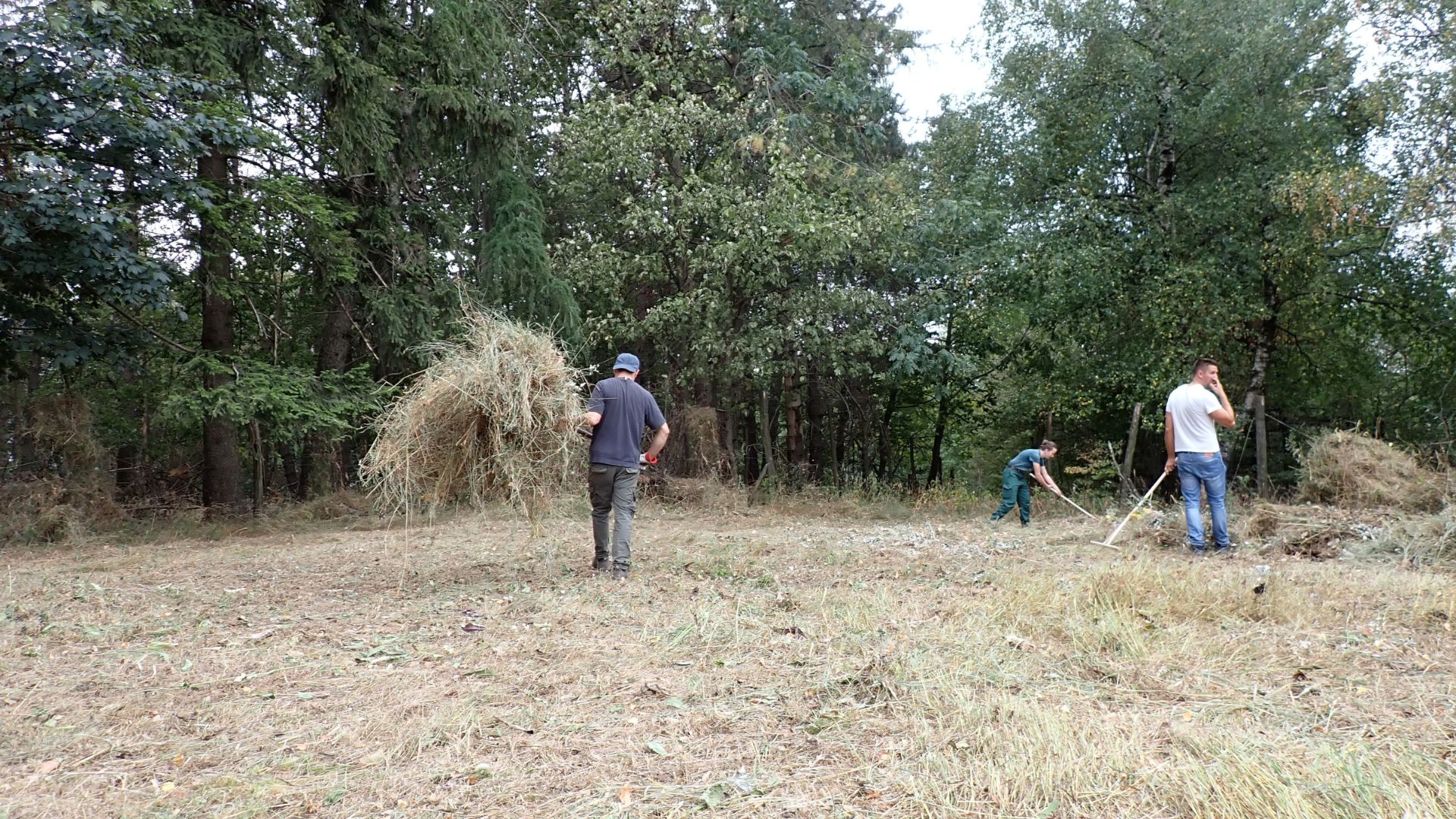 A kaszálék lehordása fontos feladat a gyepszerkezet hosszútávú megőrzése érdekében.jpg